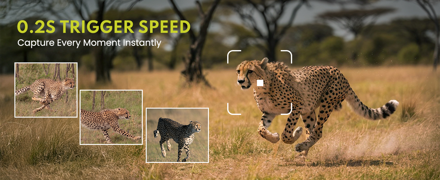 trail cams with night vision and waterproof