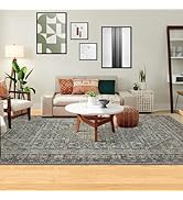 Domitapis Area Rug 5×7, Large Vintage Boho Rug,Ultra-Soft Low Pile, Washable, Non Slip,Stain Resi...