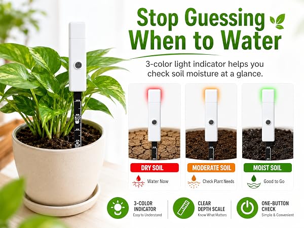 Know When to Water at a Glance