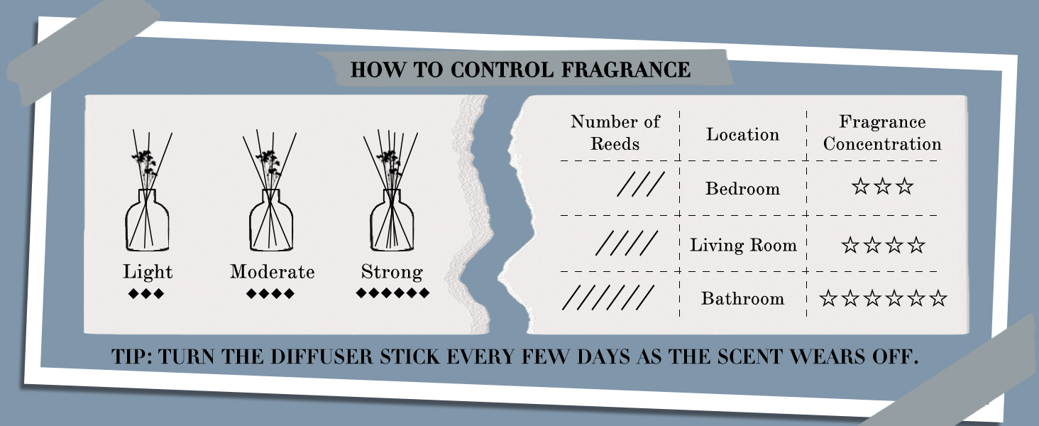 Reed Diffuser Set
