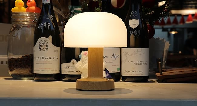 small mushroom LED table lamp rechargeable and cordless