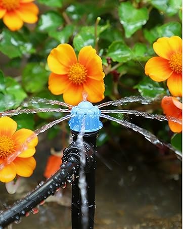 https://m.media-amazon.com/images/S/aplus-media-library-service-media/1399a17a-6b7e-4bac-8b71-34148b993ed5.__CR0,12,1030,1289_PT0_SX362_V1___.png