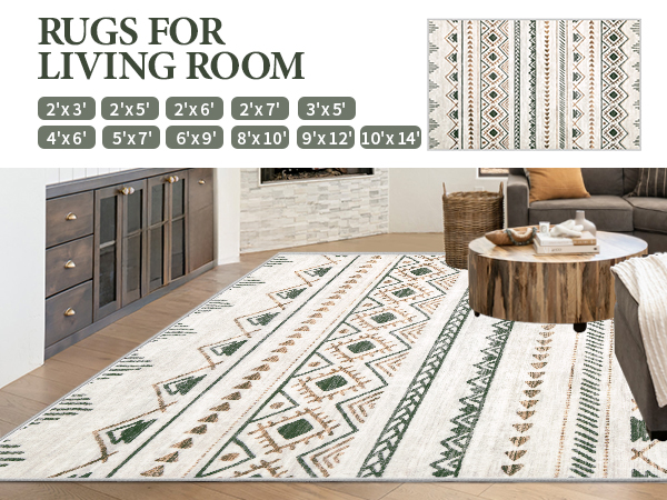 RUGS FOR LIVING ROOM