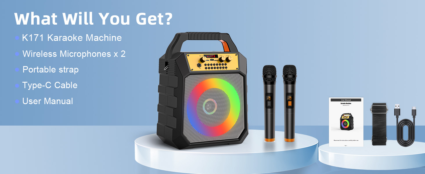 portable microphone and speaker wireless