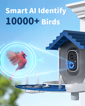 navfs bird feeder with camera