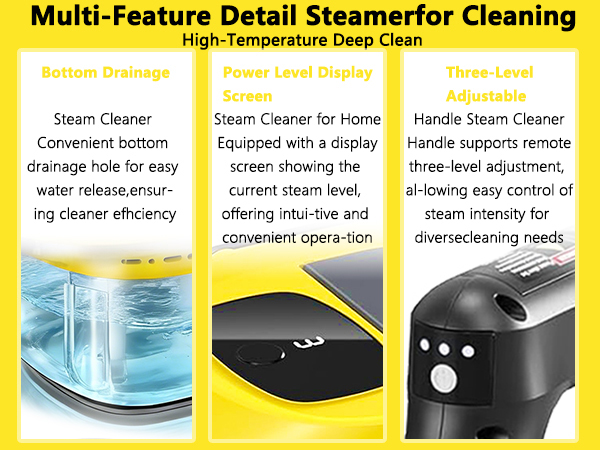 steam cleaner for cars