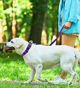 Dog Collar for Medium Small Large Dogs Reflective with Leash,Collar and Leash for Dogs,Soft Neopr...