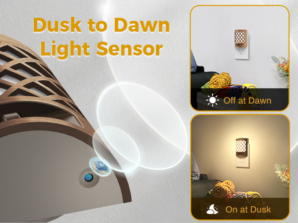dusk to dawn sensor night light