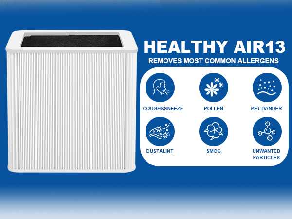 BLUEAIR Blue Pure 211+
