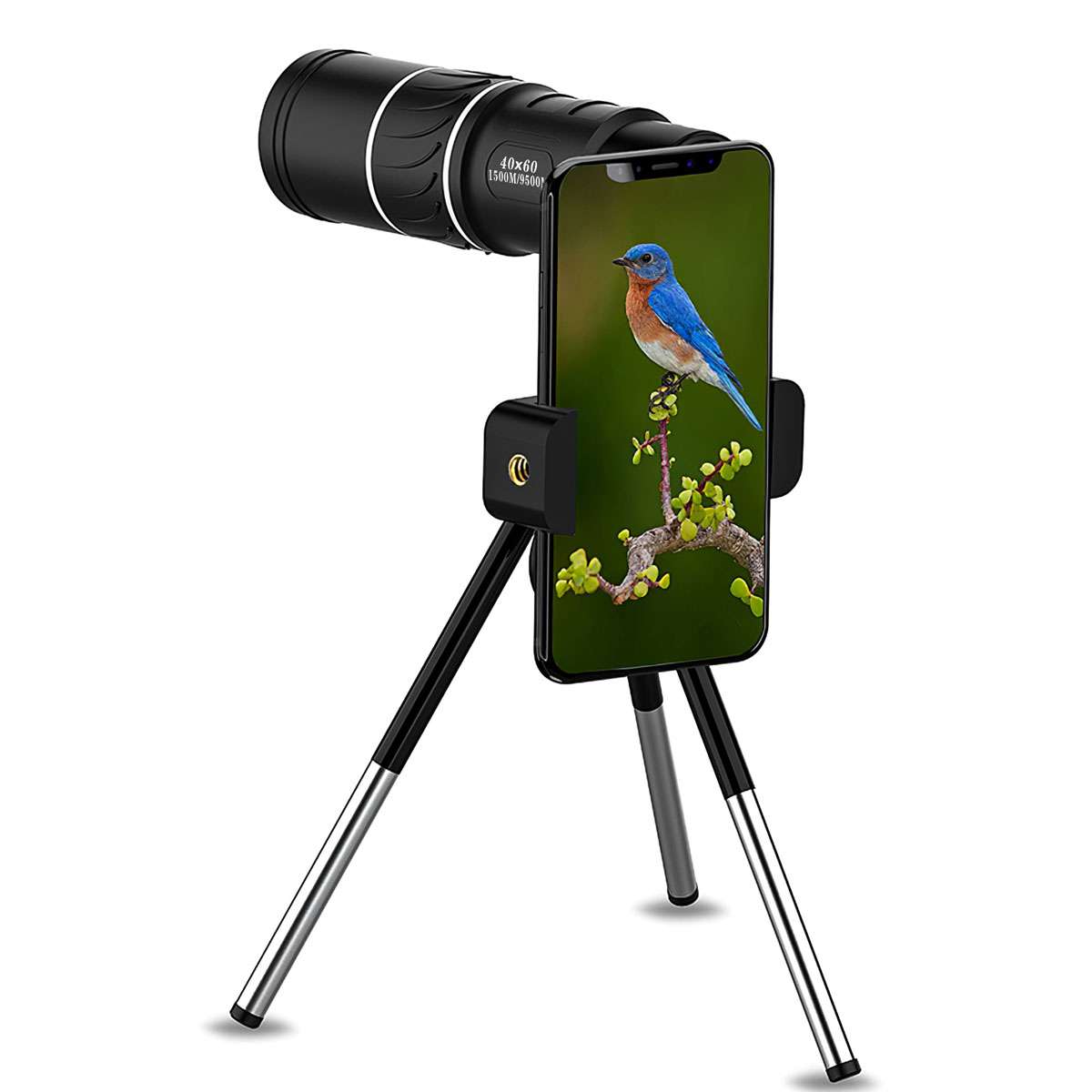 https://imagizer.imageshack.com/img923/8676/tAr4yf.jpg