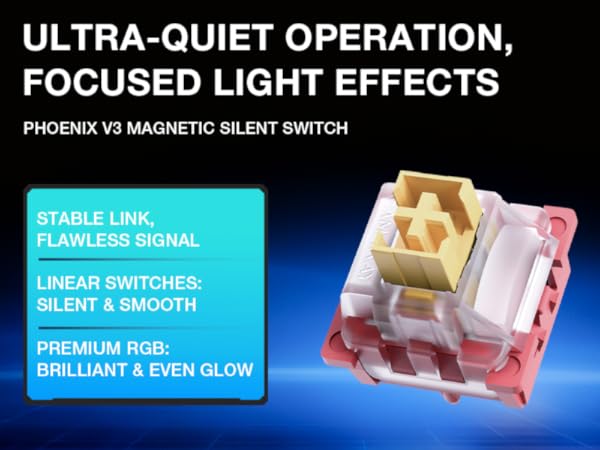 Magnetic Switch