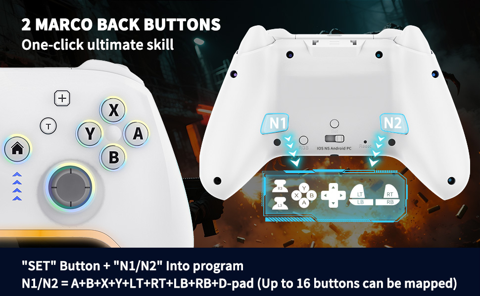 Switch Pro Controller