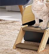 Cat Litter Box
