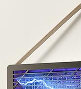 fly traps for indoors