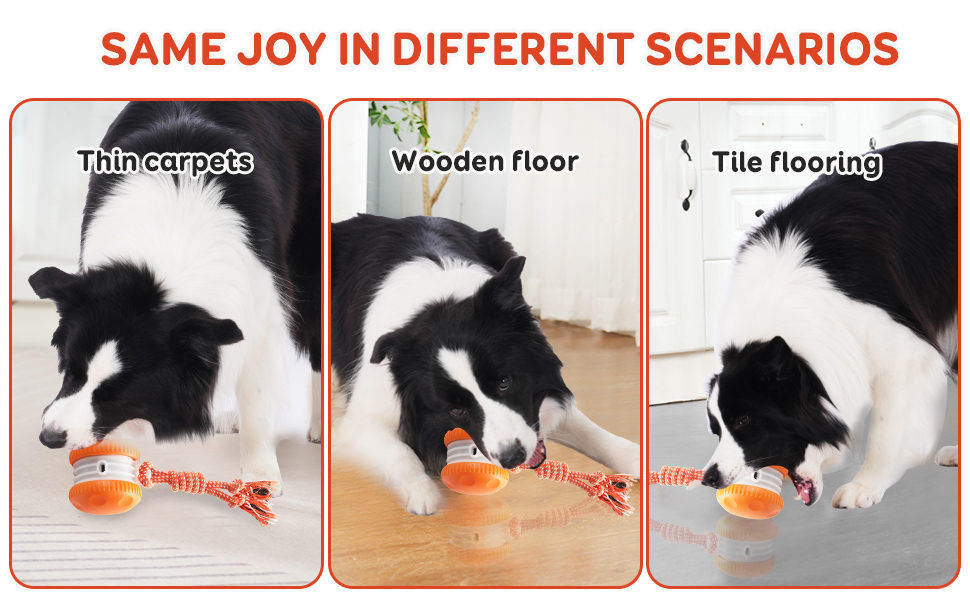 Interactive dog ball