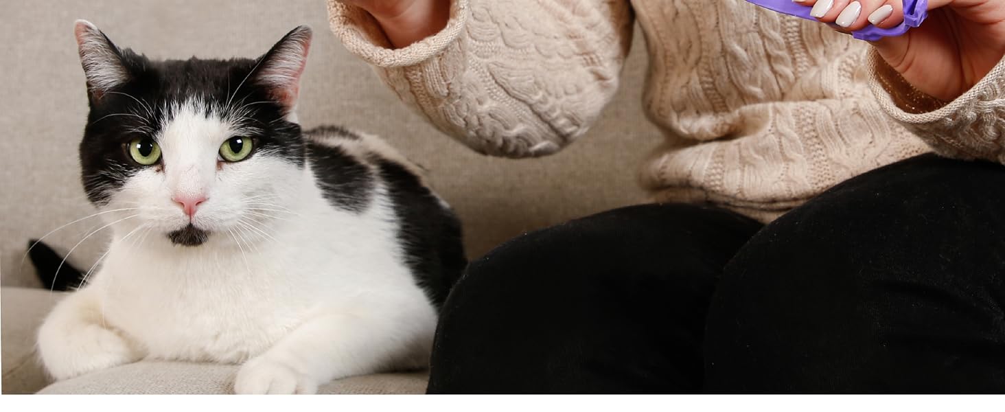 Flexible Collar