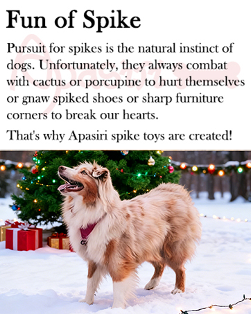 Xmas Dog Gift
