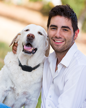 dog shock collars