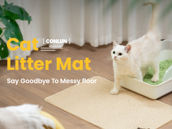 cat litter mat
