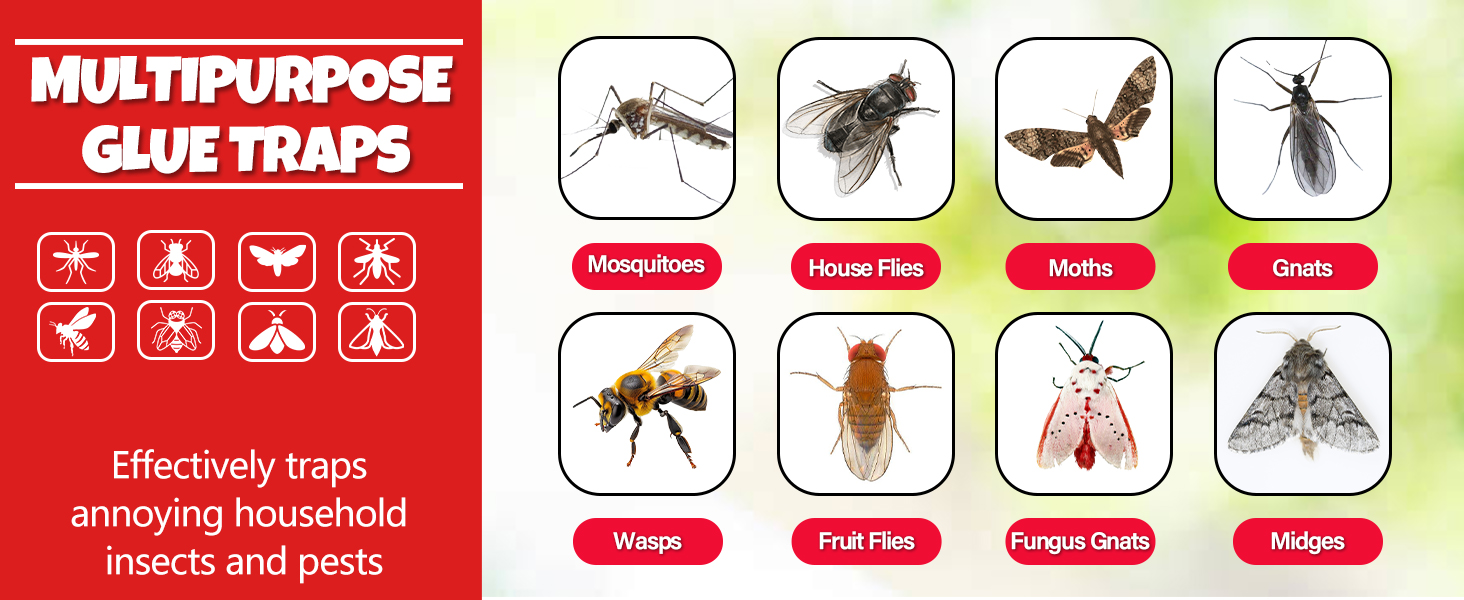 Window Fly Trap, Fruit Fly Traps for Indoors,