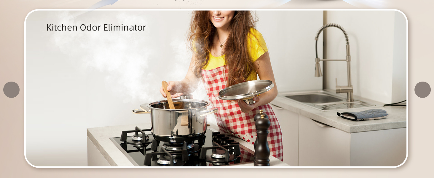 air purifier for kitchen odors