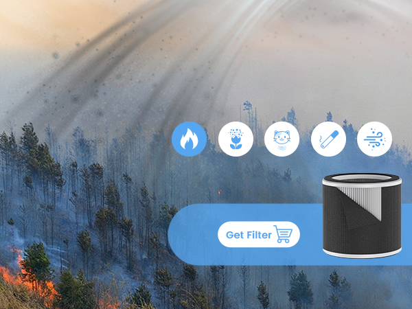 air purifiers for smoke