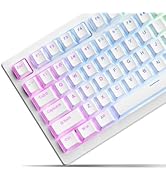 SDYZ x XVX Doubleshot PBT Keycaps 60 75 100 Percent - Shine Through Keycaps, for Mechanical Keybo...