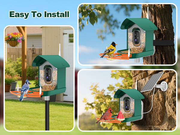 bird feeder with camera orange