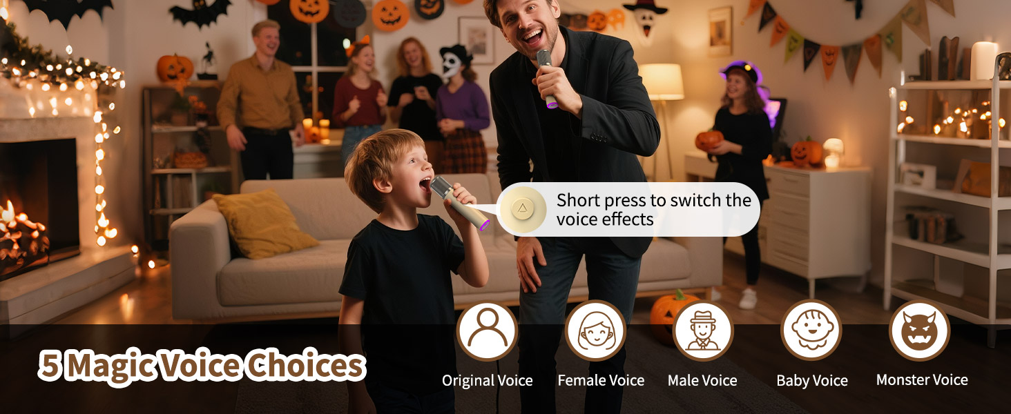 voice changer karaoke microphone