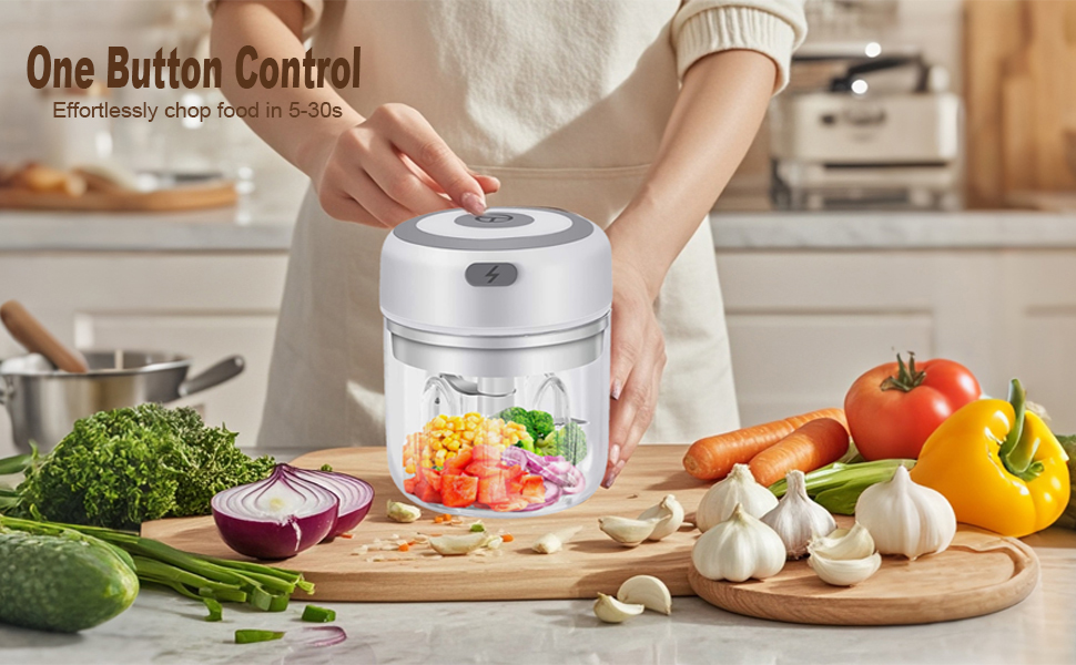 electric mini garlic chopper