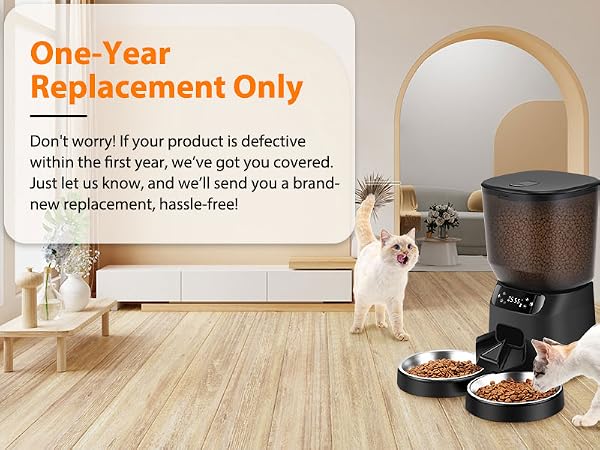 automatic cat feeder for 2 cats