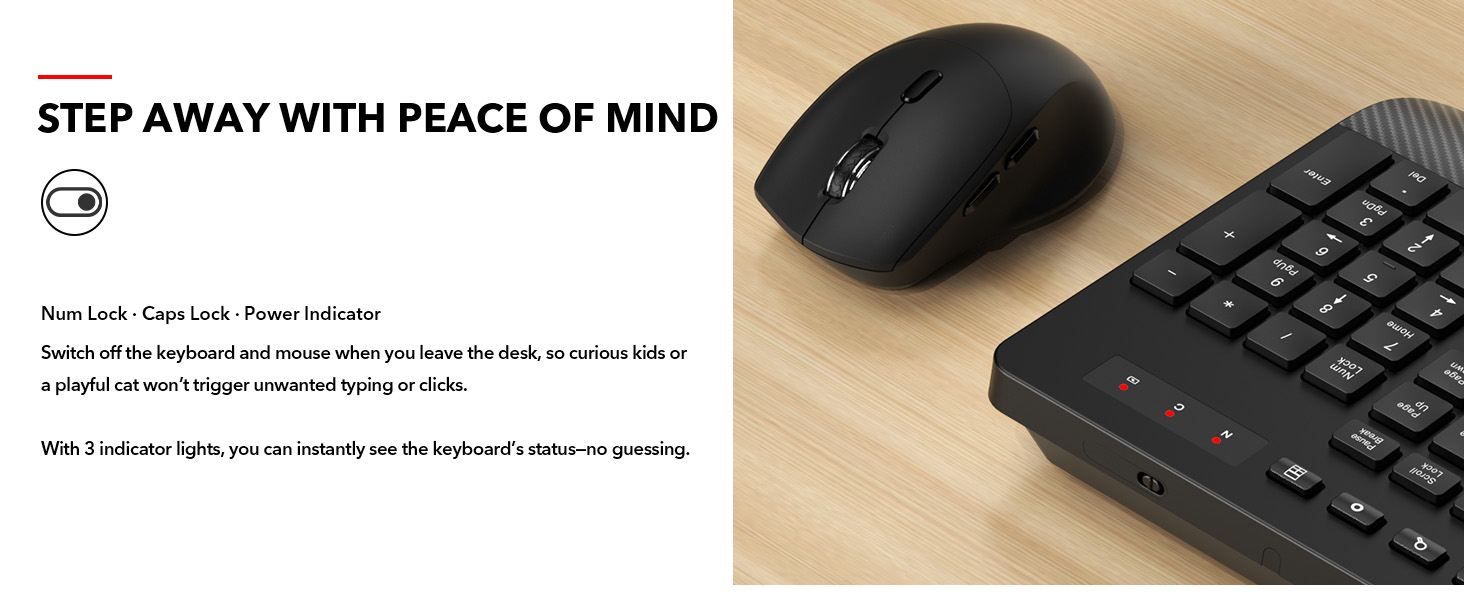 mouse