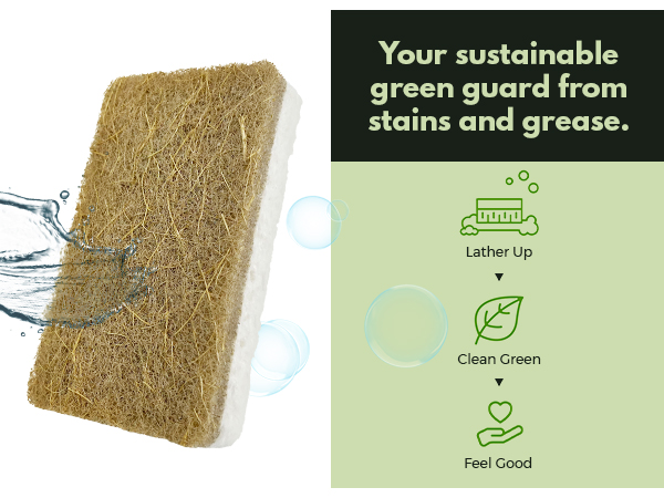 house cleaning essentials esponjas para lavar platos kitchen supplies sustainable products