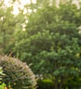 3-in-1 Electric Hedge Trimmer &amp;amp; Grass Cutter