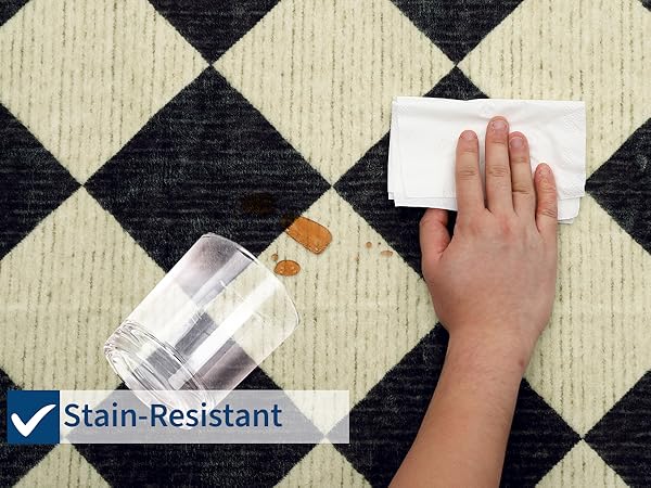 Stain Resistant Area Rug