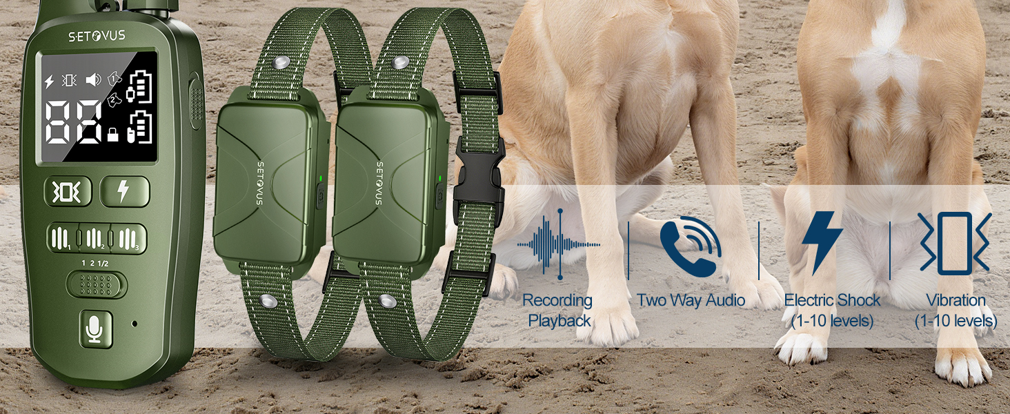 dog training collar