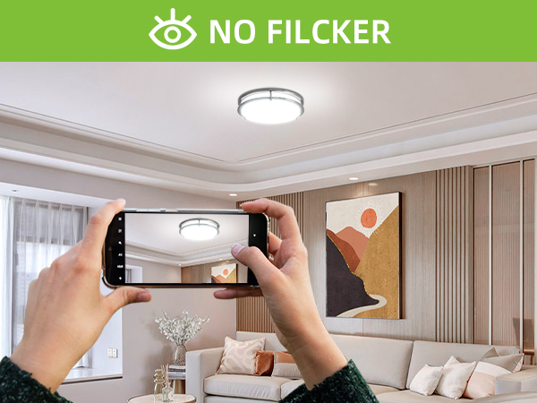 13inch Ceiling Light Fixture