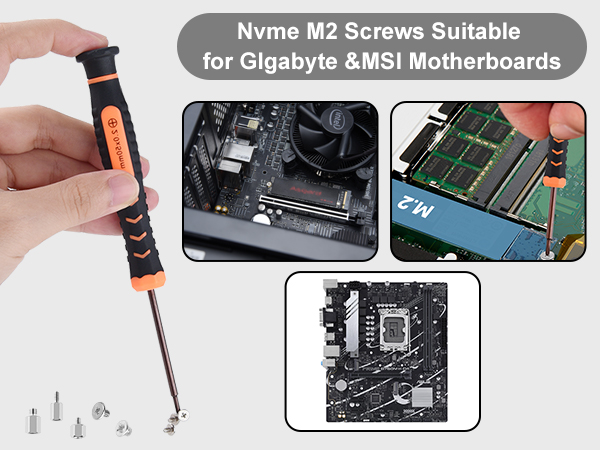 M.2 SSD Screws Kit