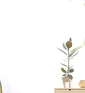 HAUSHOF Portable Carpet Cleaner Machine Deep Cleaner, Lightweight Upholstery Cleaner with Powerfu...