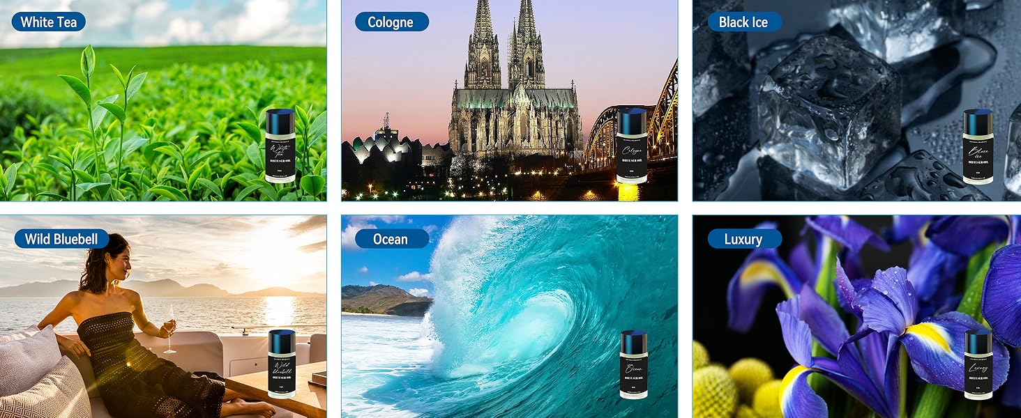 car fresheners long lasting