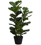 Monarch Specialties I 9511 Artificial Plant, 32" Tall, Fiddle Tree, Indoor, Faux, Fake, Floor, Gr...
