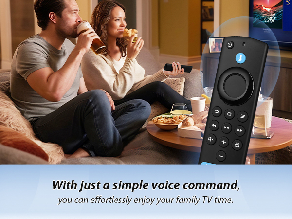 voice remote