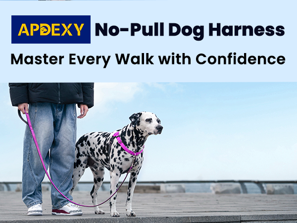 apdexy no pull dog harness