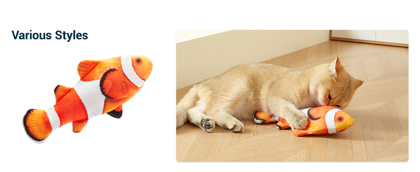 Clownfish