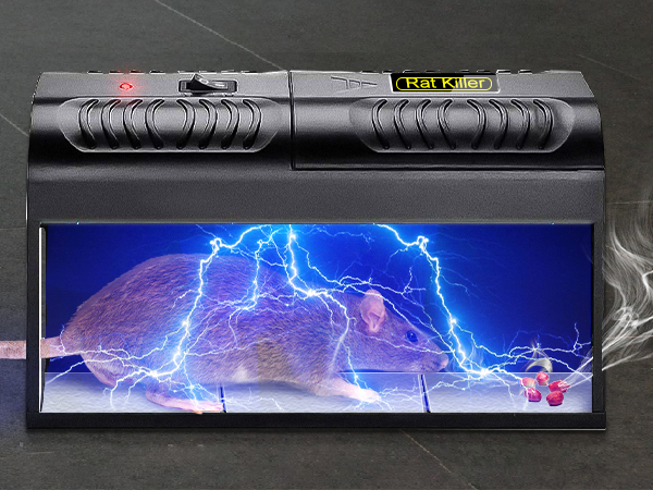 mouse traps indoor for home rat traps outdoor large large rat traps for big rats that work mouse 