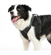 Funfox Dog Harness No Pull, Adjustable Pet Vest Harness Black M with Handle, 2 Leash Clips for Da...