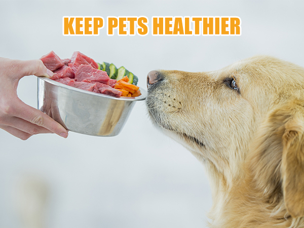 Keep Pets Healthier