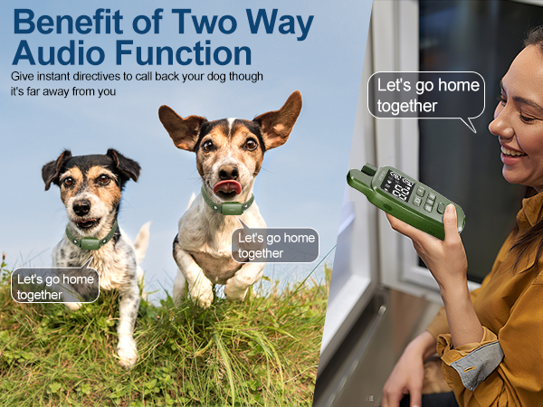 dog training collar