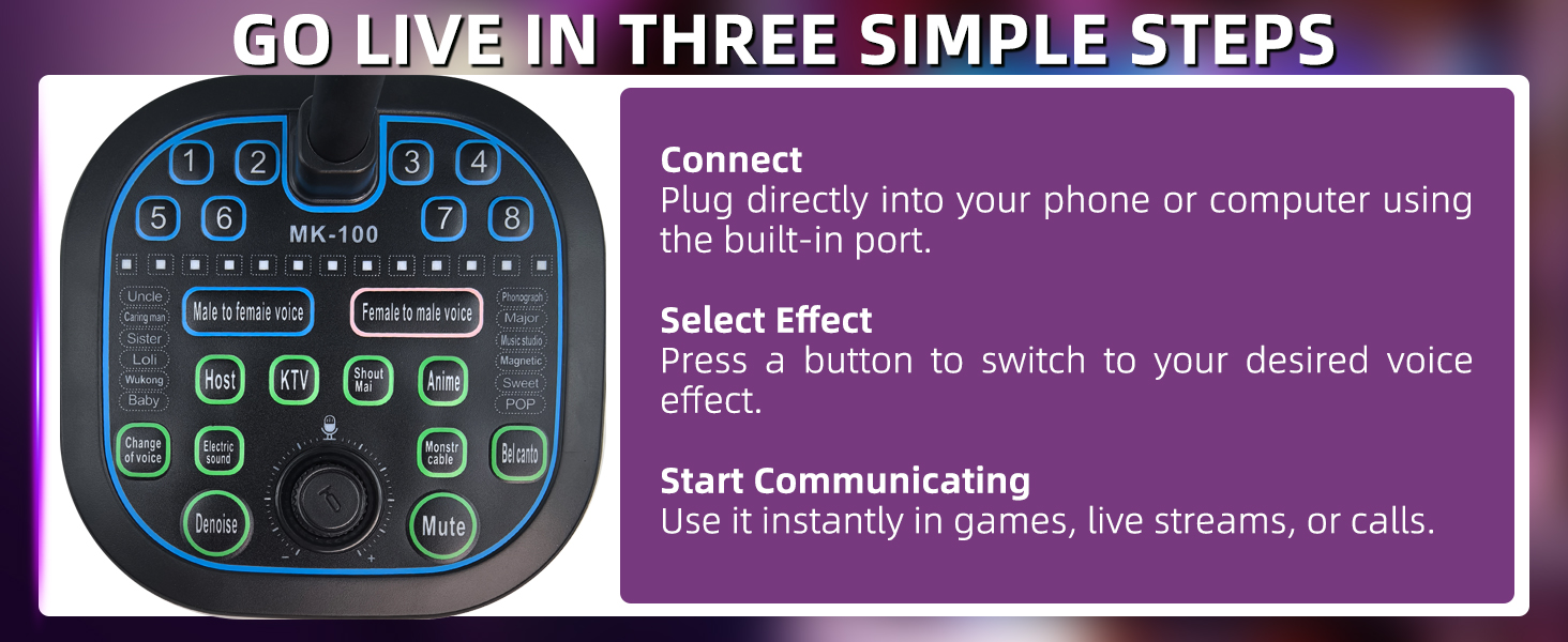Voice Changer Device