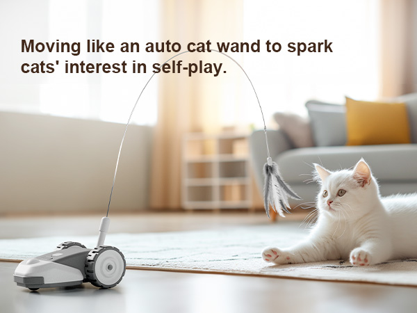 Interactive Cat Toy